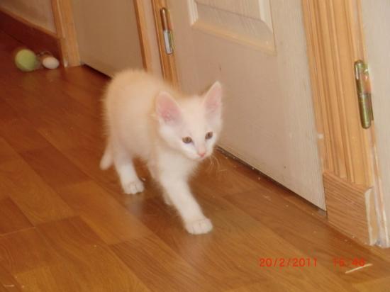 2 Mois