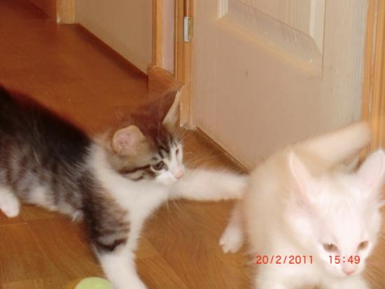 2 Mois