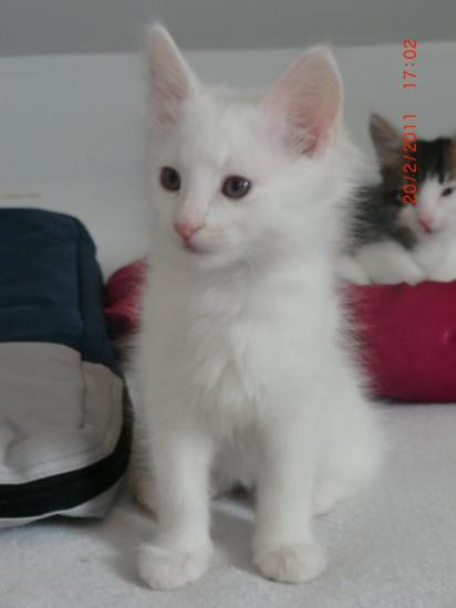 2 Mois