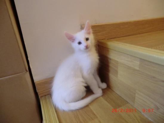 2 Mois