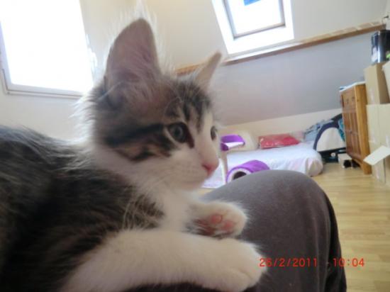 2 Mois