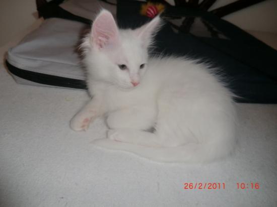 2 Mois