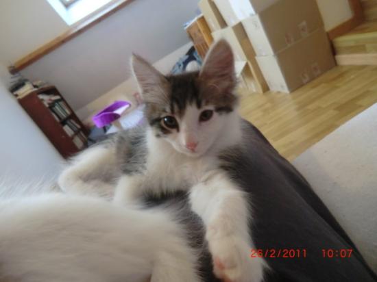 2 Mois