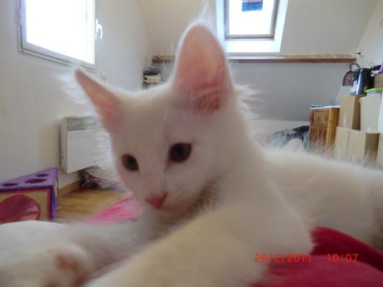 2 Mois