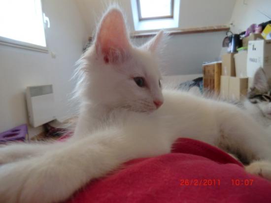 2 Mois