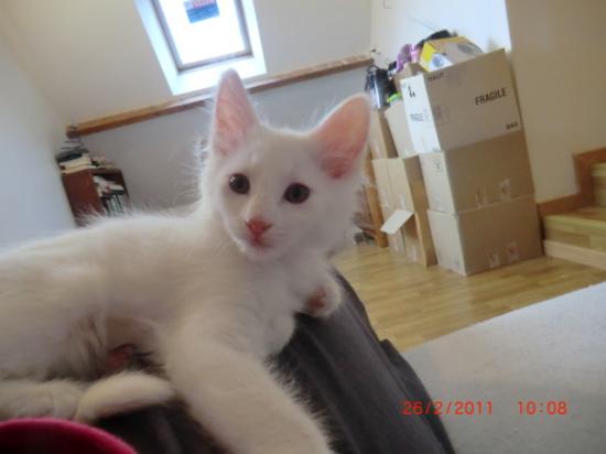 2 Mois
