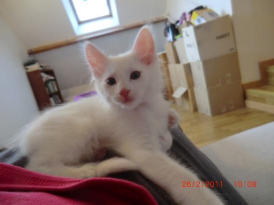 2 Mois