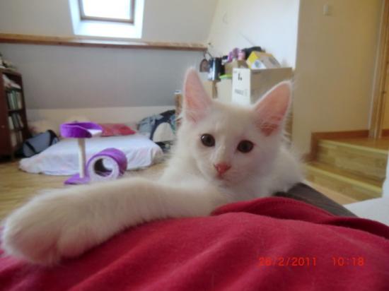 2 Mois