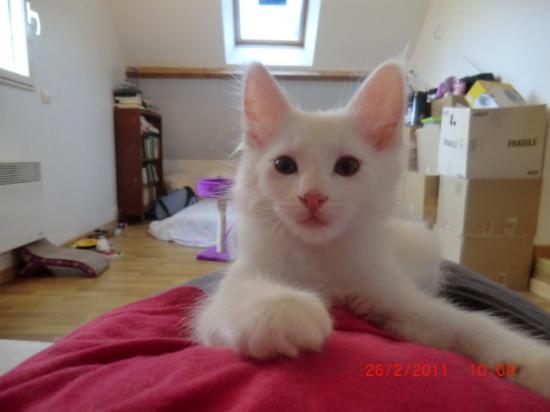 2 Mois