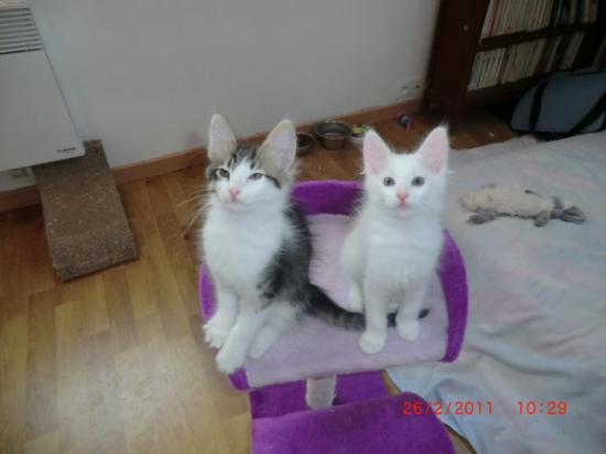 2 Mois