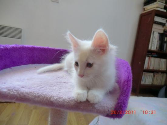 2 Mois