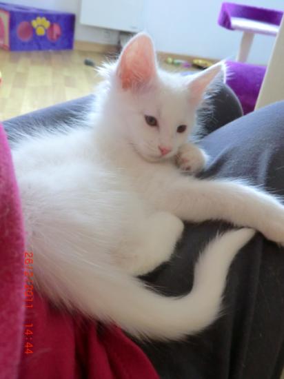 2 Mois