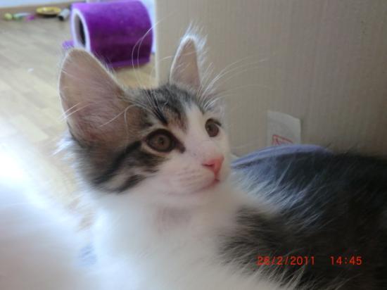 2 Mois