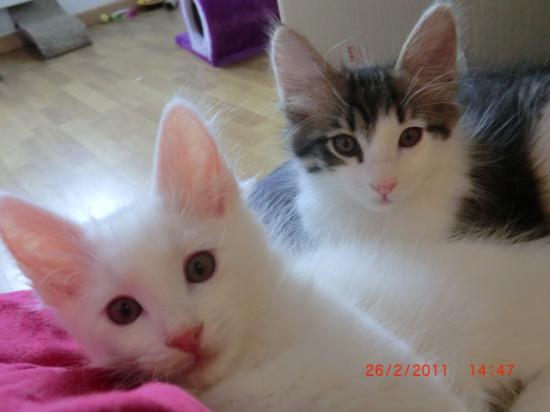 2 Mois