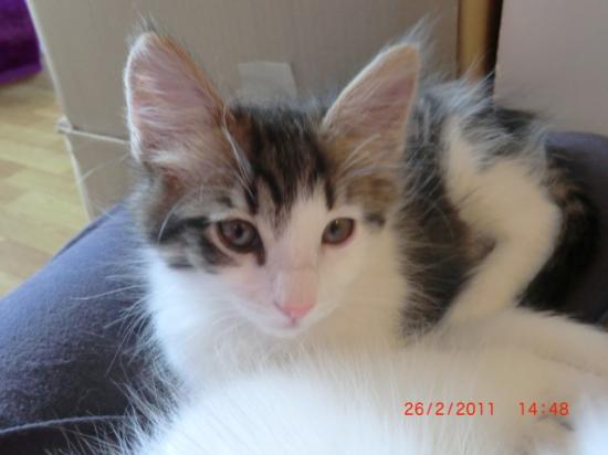 2 Mois