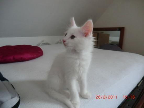2 Mois