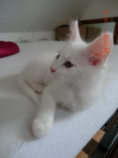 2 Mois