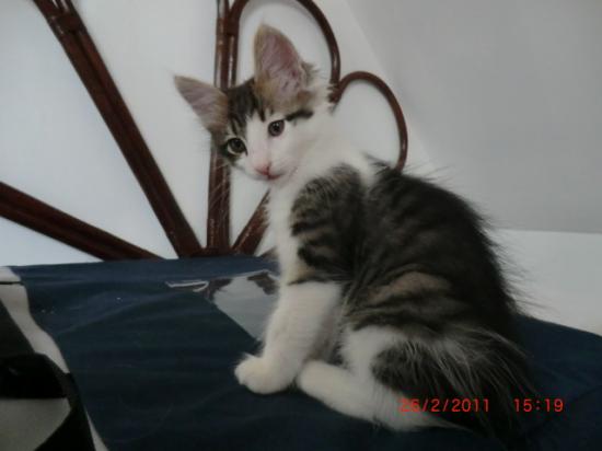 2 Mois