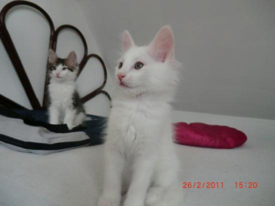 2 Mois