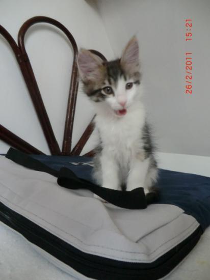 2 Mois