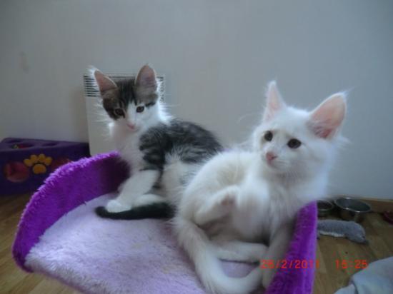 2 Mois