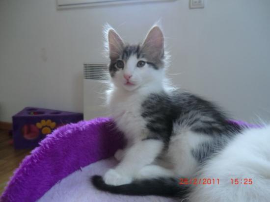 2 Mois