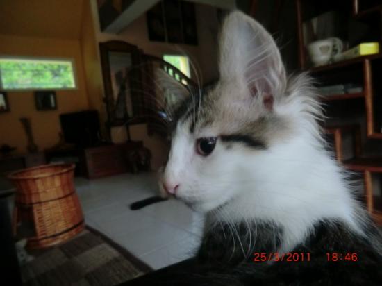 3 mois !