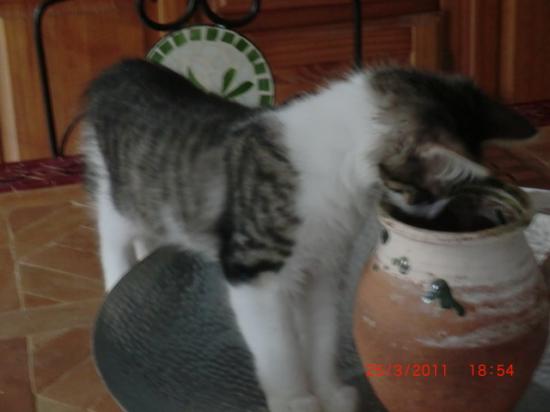 3 mois !