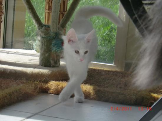 3,5 mois