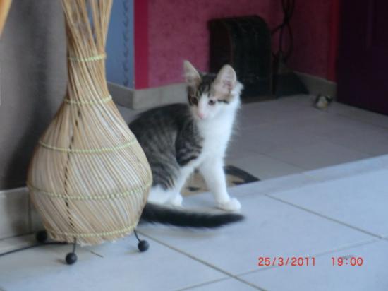 3 mois !