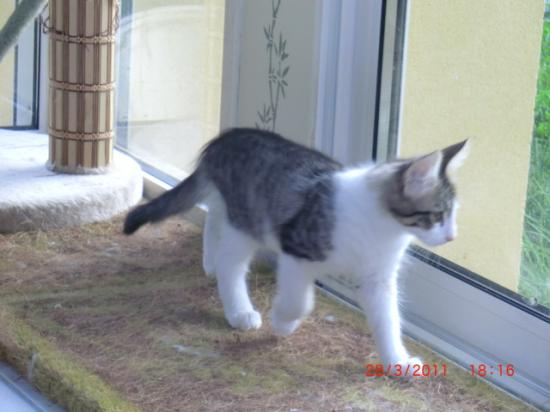 3 mois !