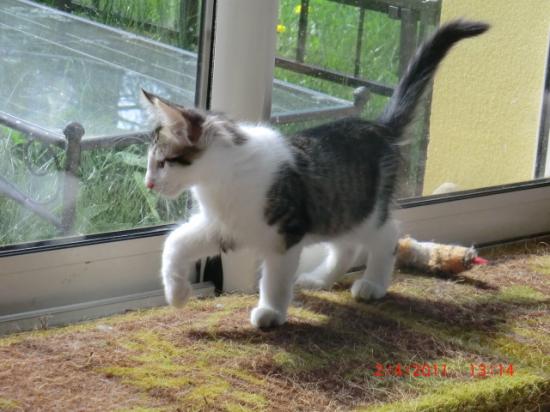 3,5 mois