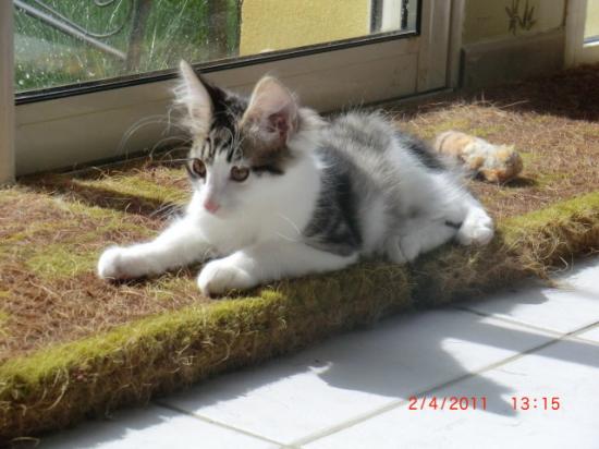 3,5 mois
