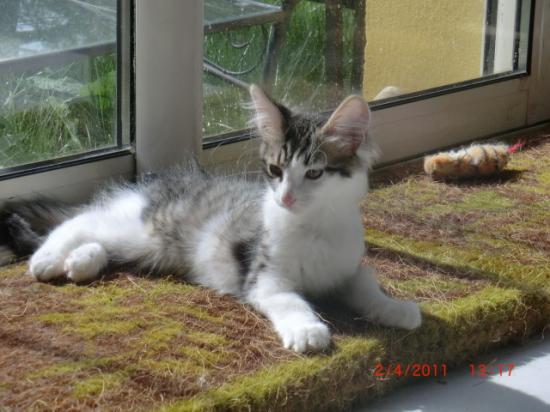 3,5 mois