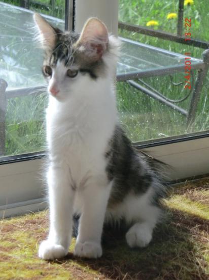 3,5 mois