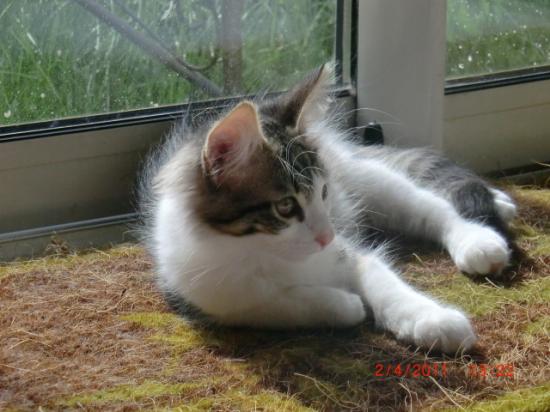 3,5 mois